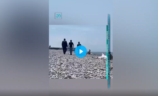 ვრცელდება სკანდალური ვიდეო ბათუმის სანაპიროდან, ვიდეო სოციალურ ქსელში კრიტიკის ქარცეცლში მოექცა